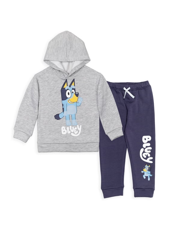 Little Boys Fleece Pullover Hoodie and Pants Outfit Set Toddler to Little Kid