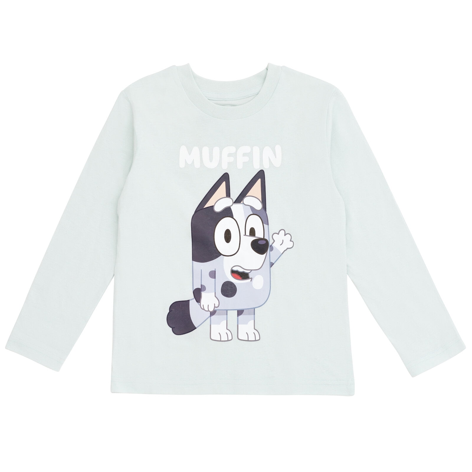 Bluey's Family T Shirt And Shorts Set – Miss Q Baby