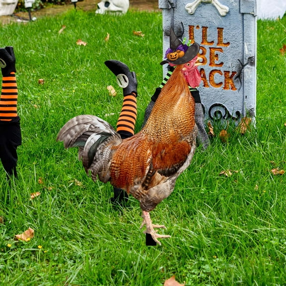 Blukids 3D Decorative Garden Inserts Halloween Chicken Decor Lawn Decor Adornment Chicken Yards Art Rooster Animal Garden Decor Chicken Garden Statue Stake Sign, Outdoor Decorations Clearance
