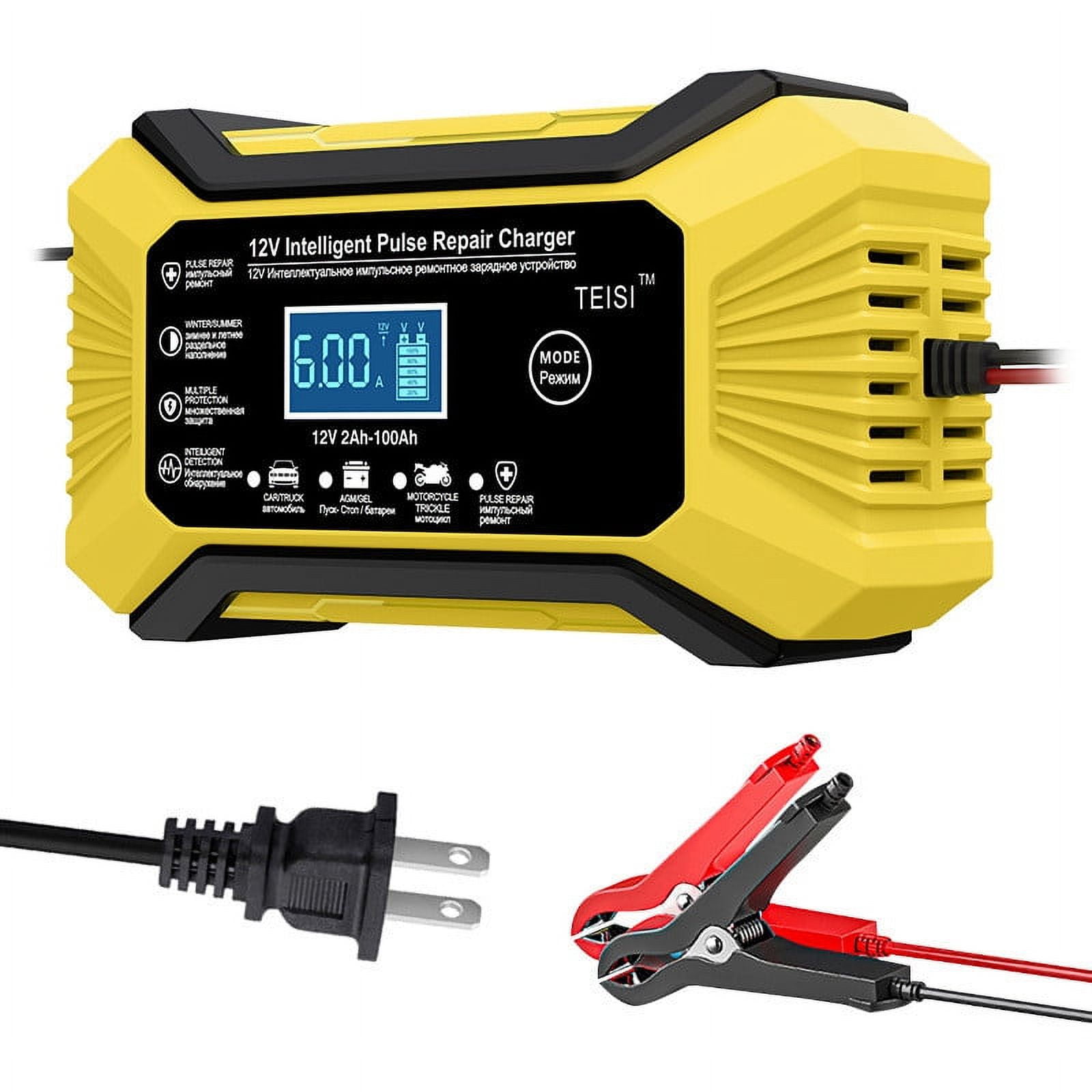 Blukids Car Battery Charger, 10Amp 12V and 24V Smart Fully Automatic