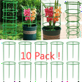 thumbnail image 1 of Blukids Plant Support Cages, 10 Pack 6.7" Garden Plant Stake, Metal Ring Garden Plant Stake for Green Plant, Tomato, Rose, Vine(Green), 1 of 9