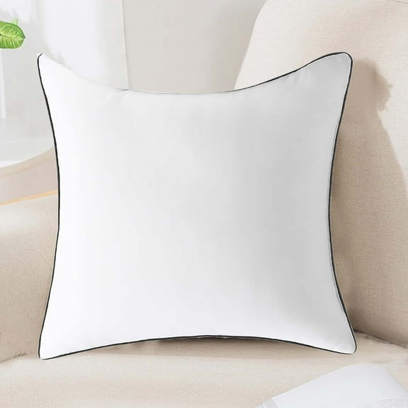 Blukids Throw Pillow Inserts, Lightweight Down Alternative Polyester Pillow, Couch Cushion, Sham Stuffer, Machine Washable (White,17×17 inch)