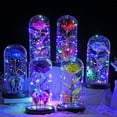 thumbnail image 1 of Blukids Valentines Day Gifts for Women Girlfriend Her, Galaxy Glass Rose Forever Eternal Crystal Flower Light Up Rose with Butterfly Anniversary Birthday Gifts for Mom Grandma Wife Friend(Blue), 1 of 9