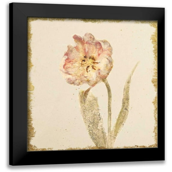 Blum, Cheri 12x12 Black Modern Framed Museum Art Print Titled - Vintage May Wonder Tulip Crop