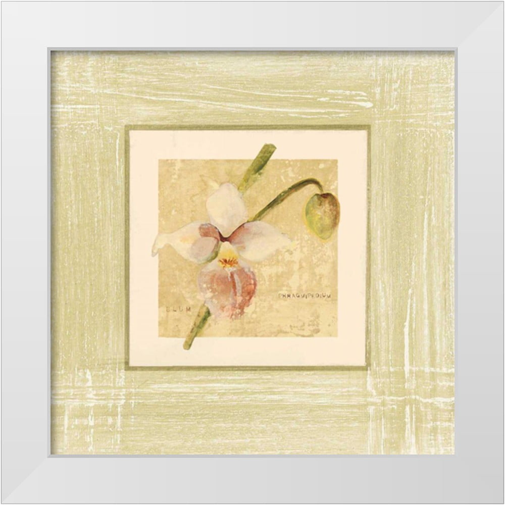Blum, Cheri 12x12 White Modern Wood Framed Museum Art Print Titled