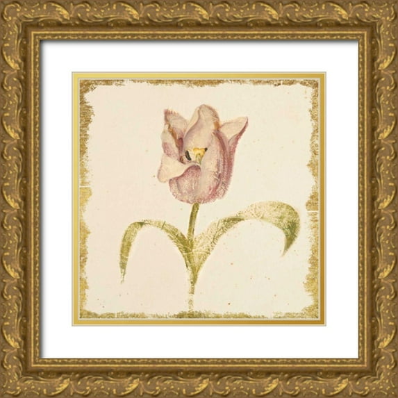 Blum, Cheri 15x15 Gold Ornate Wood Framed with Double Matting Museum Art Print Titled - Vintage Blue Parrot Tulip Crop