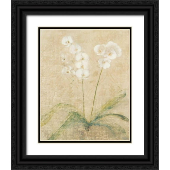 Blum, Cheri 20x24 Black Ornate Wood Framed with Double Matting Museum Art Print Titled - Orchid Cool