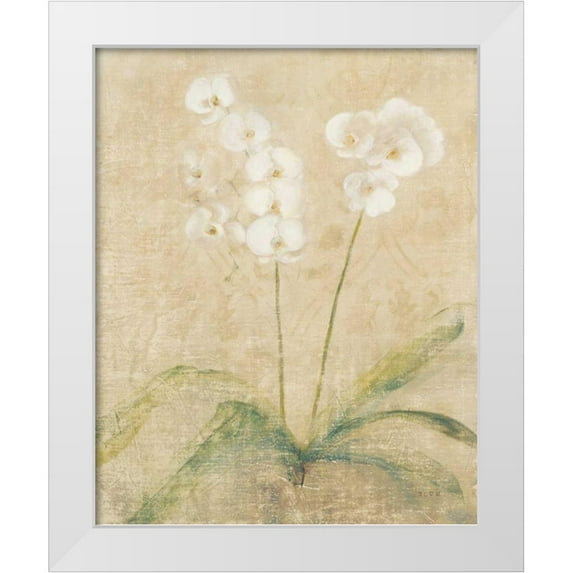Blum, Cheri 20x24 White Modern Wood Framed Museum Art Print Titled - Orchid Cool