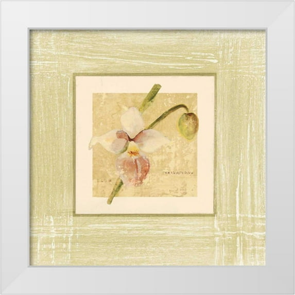 Blum, Cheri 26x26 White Modern Wood Framed Museum Art Print Titled - Exotic Floral IV