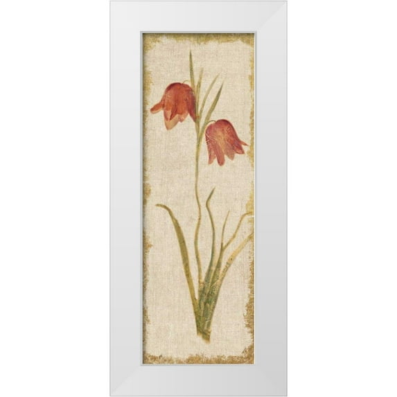 Blum, Cheri 9x18 White Modern Wood Framed Museum Art Print Titled - Red Tulip Panel on White Vintage
