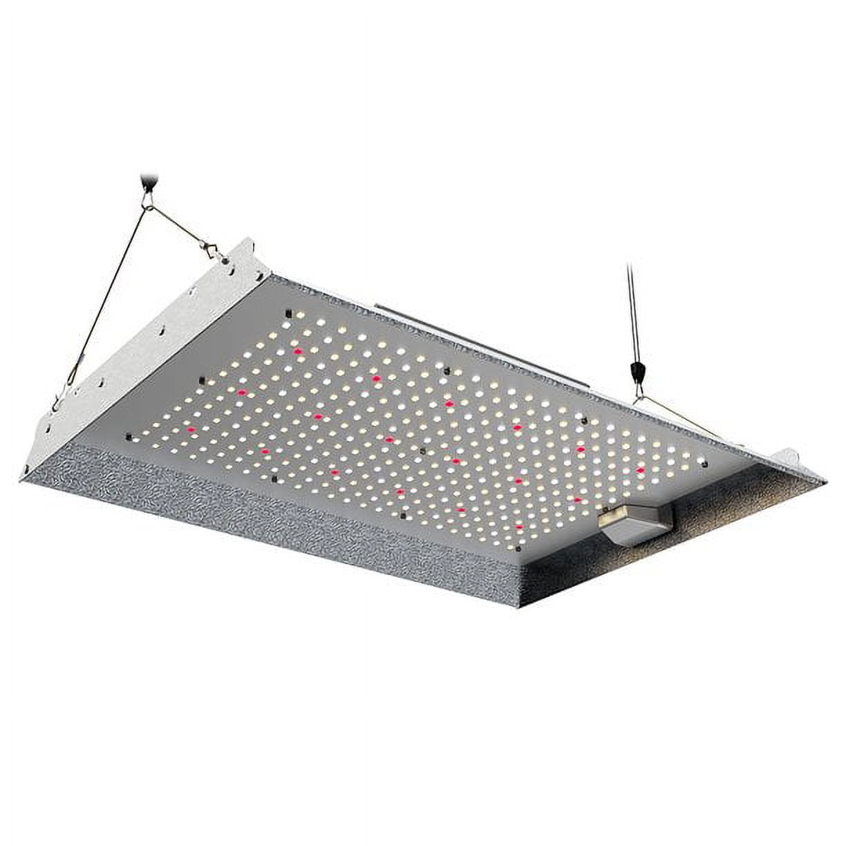 Blume 150-Watt Full Spectrum LED Grow Light with Daisy Chain Function