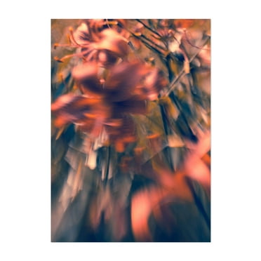 Blurred bouquet - Photography Abstract Psychedelic Surrealism Floral Modern Art Nature Autumn Unframed Wall Art Print 4 x 6 inches