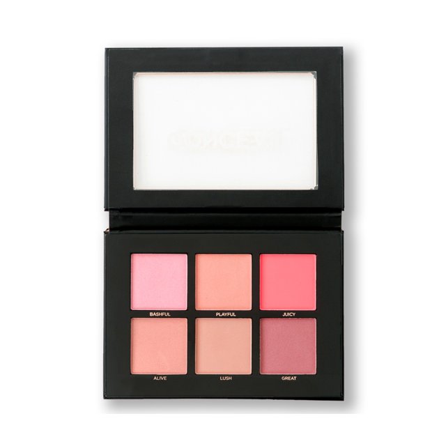Blush 6 color blush palette