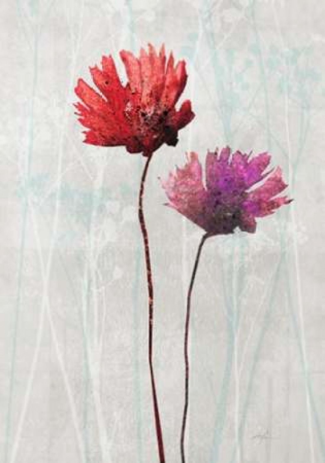 Blush Blooms 1 Canvas Art - Ken Roko (20 x 28)