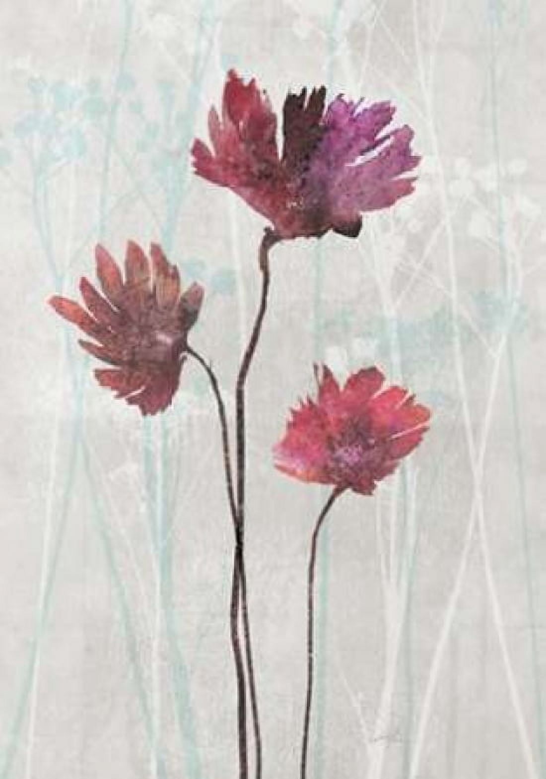Blush Blooms 2 Canvas Art - Ken Roko (20 x 28)