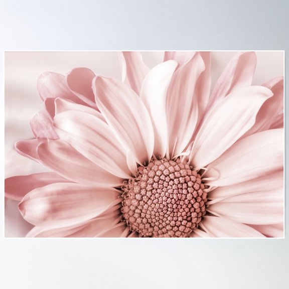 Blush Flower Art Print Poster Wall Art, Modern Wall Decor For Living Room Bedroom, 16x24 UNFRAMED