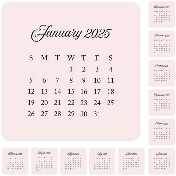 Blush Pink Small Month Planner Labels Mini Square 24 for 2025 12 for 2026 Calendar 4 Note Pack