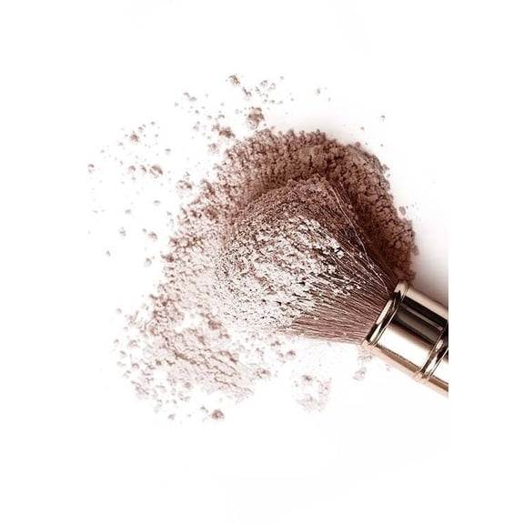 Blush Print Wall Art, Modern Wall Decor For Living Room Bedroom, 12x18 UNFRAMED