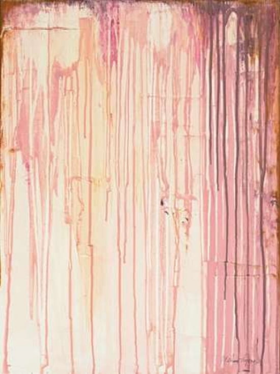 Blush Streaks Canvas Art - Melissa Lyons (18 x 24)