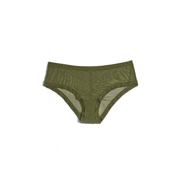 Blush The Mesh Lace Trim Hipster Panty - 0259625