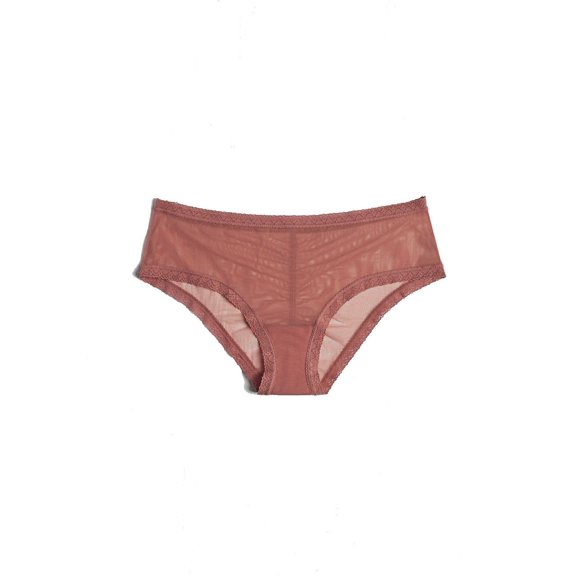 Blush The Mesh Lace Trim Hipster Panty - 0259625