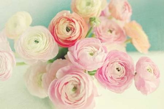Blushing Blossoms Canvas Art - Sarah Gardner (24 x 36)