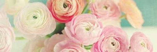 Blushing Blossoms Panel Canvas Art - Sarah Gardner (8 x 24)