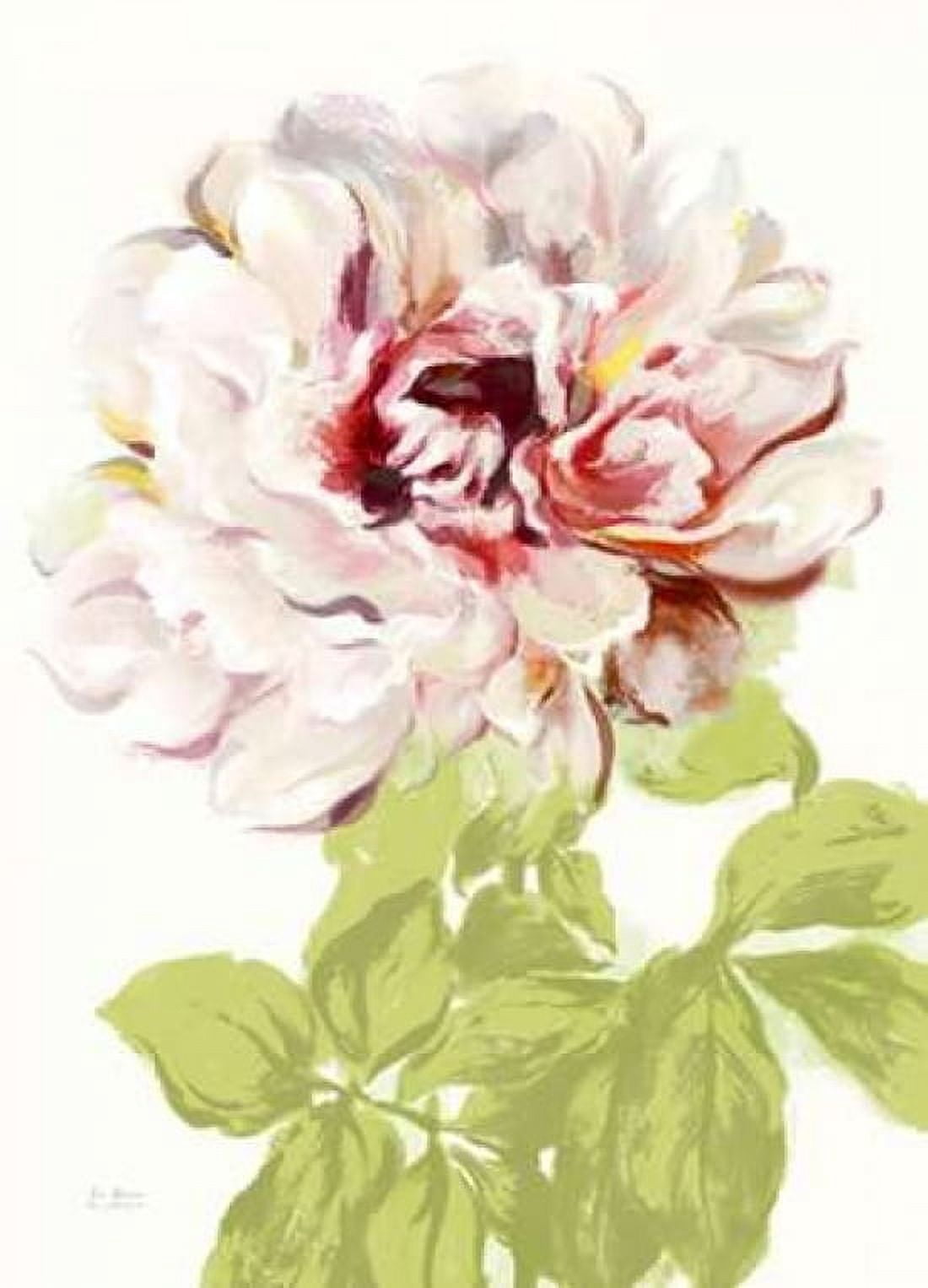 Blushing Peony 2 Canvas Art - Art Atelier Alliance (18 x 24)