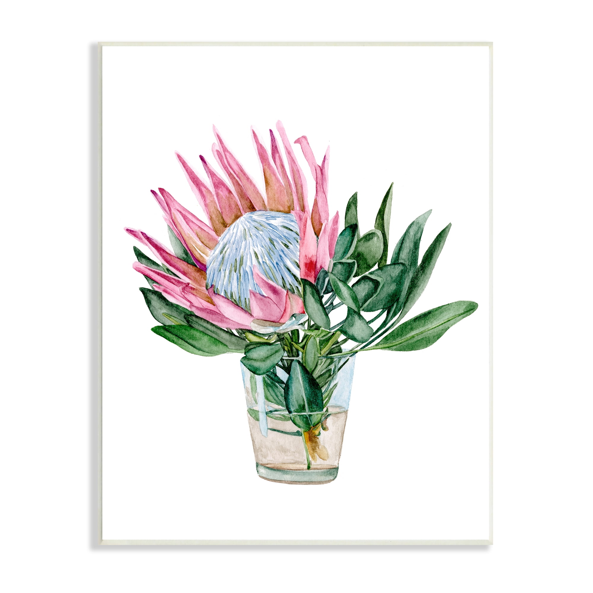 Blushing Protea Flower Glass Watercolour Flower Still Life 13 in x 19 in Framed Painting Art Print, by Stupell Home Décor
