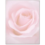 The Image Shop Blushing Rose Letterhead -8.5 Inches x 11 Inches - 100 Sheets/Pack - Floral Stationery, Pink Roses Paper