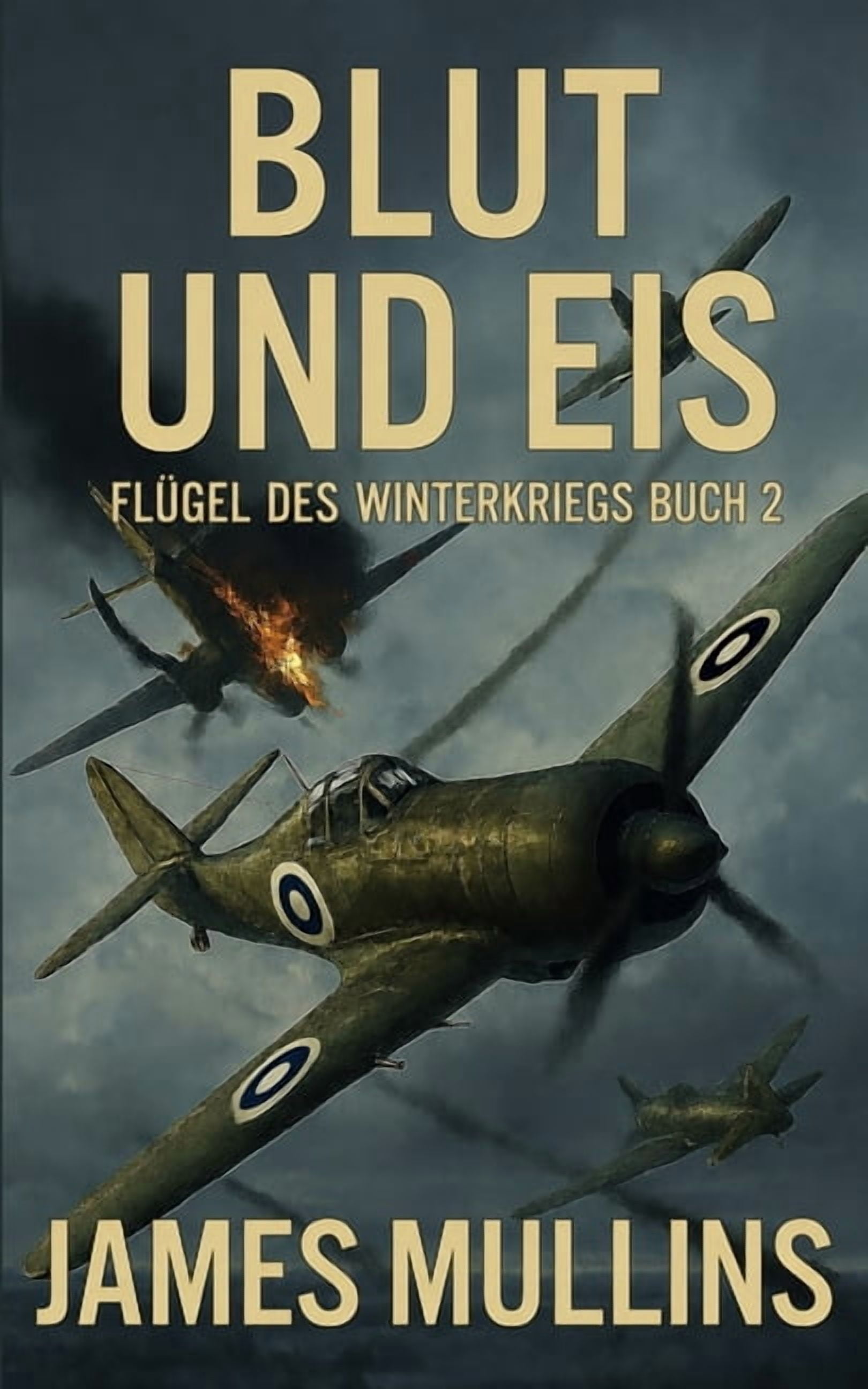 Schwingen Des Winterkrieges Blut Und Eis: Buch 2 der Reihe Schwingen des Winterkriegs, Book 2, (Paperback)
