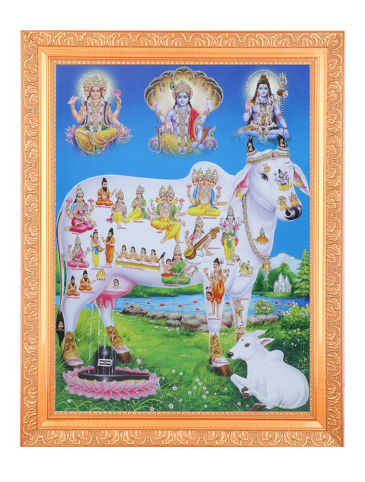 Bm Traders Gomata/33 Koti Devi Devta Zari Print Photo In Religious ...
