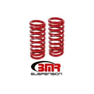 Rekudo 70-81 F-Body Lowering Springs - 2in Rekudo 70-81 F-Body Lowering Springs - 2in