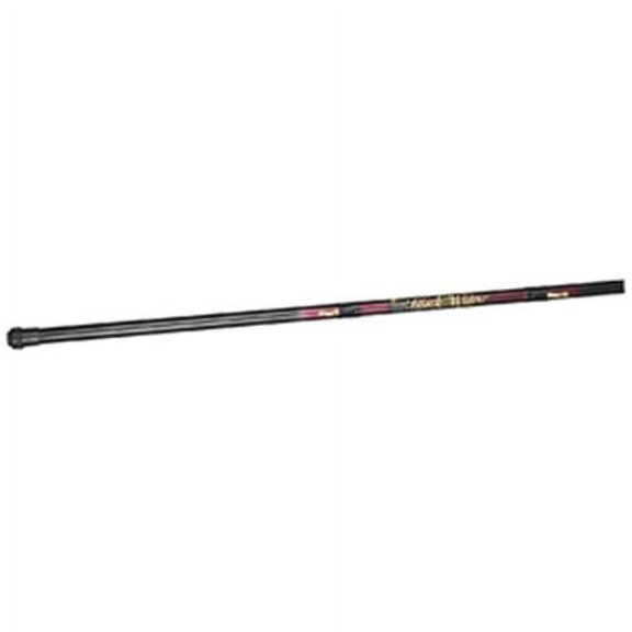 BnM Black Widow Pole 20'