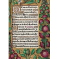 thumbnail image 1 of Bnf Enluminures Carnet Blanc, Heures Anne de Bretagne, Roses, (Paperback), 1 of 1