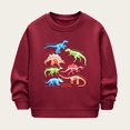 thumbnail image 1 of Bnwani Boys Sweatshirt Crew Neck Long Sleeve Winter Warm Sweatshirt Printed Pullover, 1 of 3