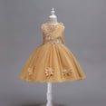 thumbnail image 1 of Bnwani Dresses for Girl Girls Toddler Long Mesh Party Gown Skirt Girl Embroidery Net Yarn Dresses 3-T4, 1 of 4