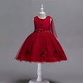 thumbnail image 1 of Bnwani Girls Long Skirts Girls Toddler Long Mesh Party Gown Skirt Girl Embroidery Net Yarn Dresses 2-3T, 1 of 4