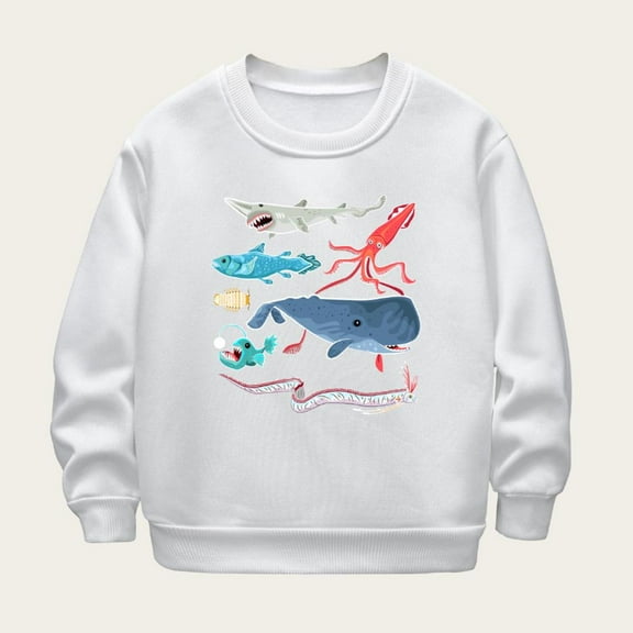 Bnwani Kids Sweatshirt Boys Crew Neck Long Sleeve Winter Warm Sweatshirt Printed Pullover Size 7-8