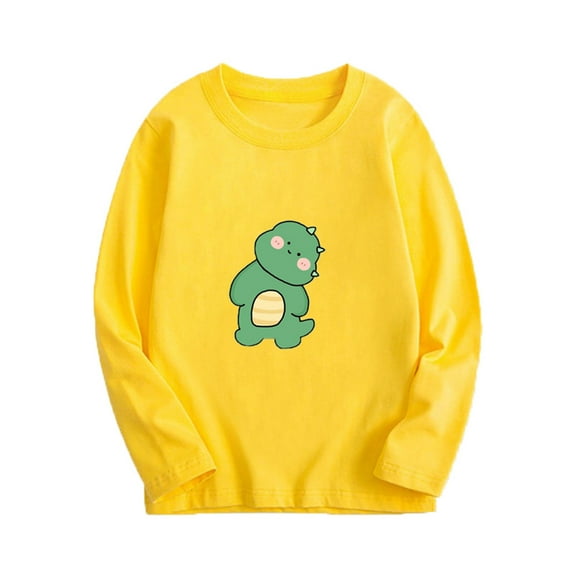 Bnwani Long Sleeve Toddler Shirts Boys Cotton Fall Crew Neck Casual Fashion Printed Tops 9 Years