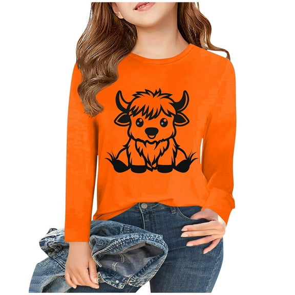 Bnwani Long Sleeve Toddler Shirts Girls Fall Crew Neck Casual Fashion Printed Tops 3-4t