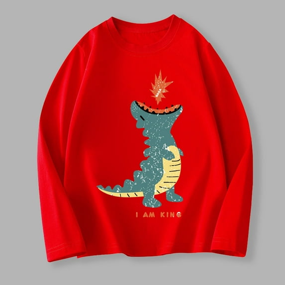 Bnwani Long Sleeve Toddler T Shirt Cotton Crew Neck Thin Printed Tops 3-4t