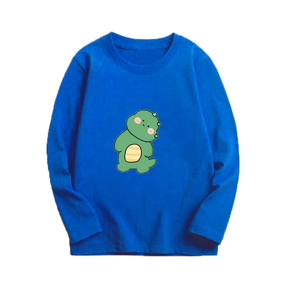 Bnwani Long Sleeve Toddler T Shirt Cotton Fall Crew Neck Casual Fashion Printed Tops