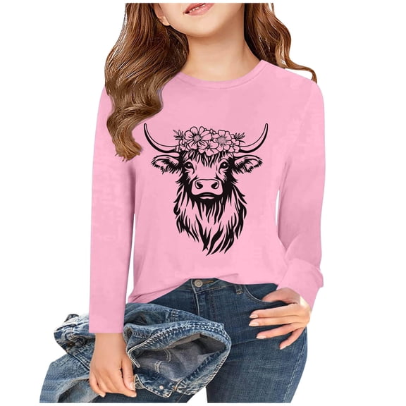 Bnwani Long Sleeve Toddler T Shirt Fall Crew Neck Casual Fashion Printed Tops 3-4t