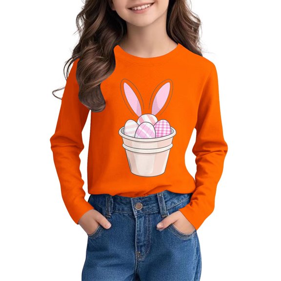 Bnwani Long Sleeve Toddler T Shirt Fall Crew Neck Casual Printed Tops