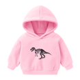 thumbnail image 1 of Bnwani Toddler Hoodies Girls Cotton Long Sleeve Short Fall Sweatshirt Cute Graphic Printed Pullover, 1 of 2