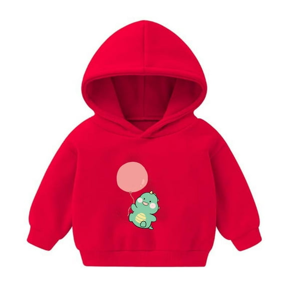 Bnwani Toddler Hoodies Girls Long Sleeve Fall Sweatshirt Cute Printed Pullover