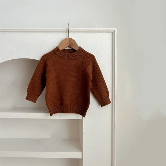 Bnwani Toddler Pullover Sweater Fashion Knitted Crew Neck Long Sleeve Casual Solid Sweater Brown