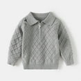 thumbnail image 1 of Bnwani Toddler Pullover Sweater Knitted Cotton Lapel Long Sleeve Comfortable Casual Solid Sweater Gray, 1 of 7
