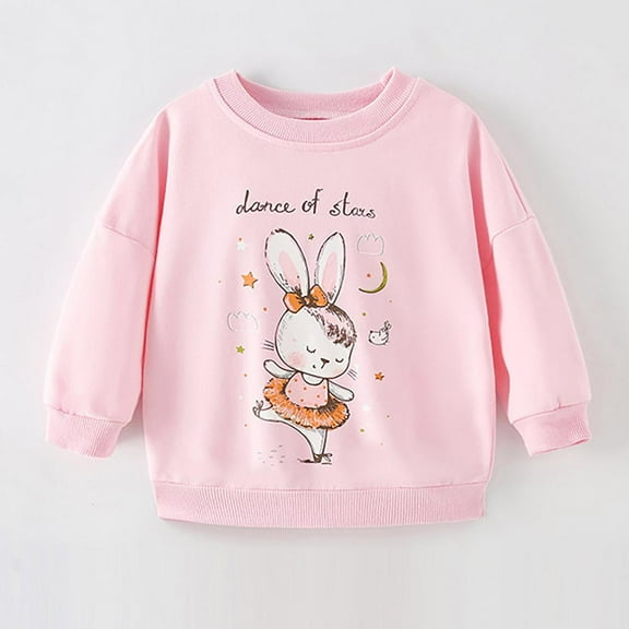 Bnwani Toddler Sweatshirt Cotton Crew Neck Long Sleeve Winter Fall Loose Sweatshirt Cute Tops Pullover
